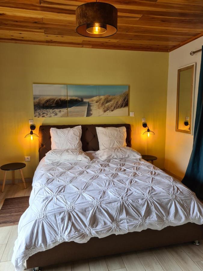Chambres Et Tables D'Hote Du Voyageur La Plaine des Palmistes Kültér fotó