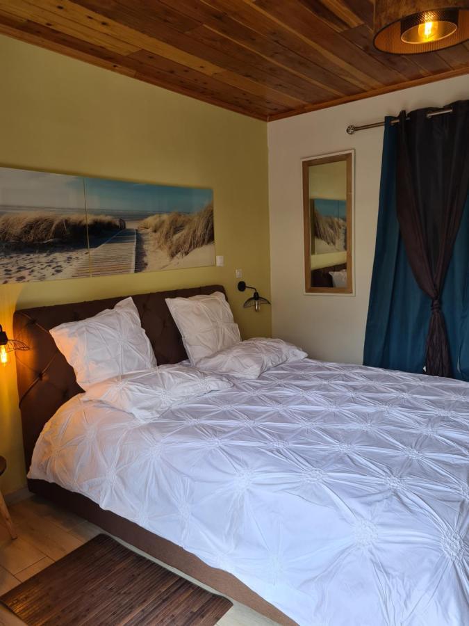 Chambres Et Tables D'Hote Du Voyageur La Plaine des Palmistes Kültér fotó